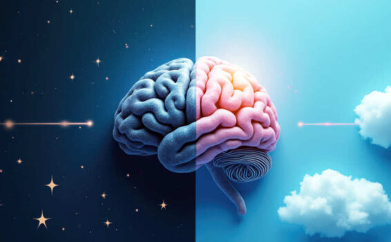split brain half on day side half on night side