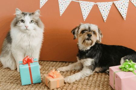 A fluffy cat and a small dog sit on a woven rug with wrapped presents. A red wall with a polka-dot banner is behind them. The gifts are decorated with colorful bows.