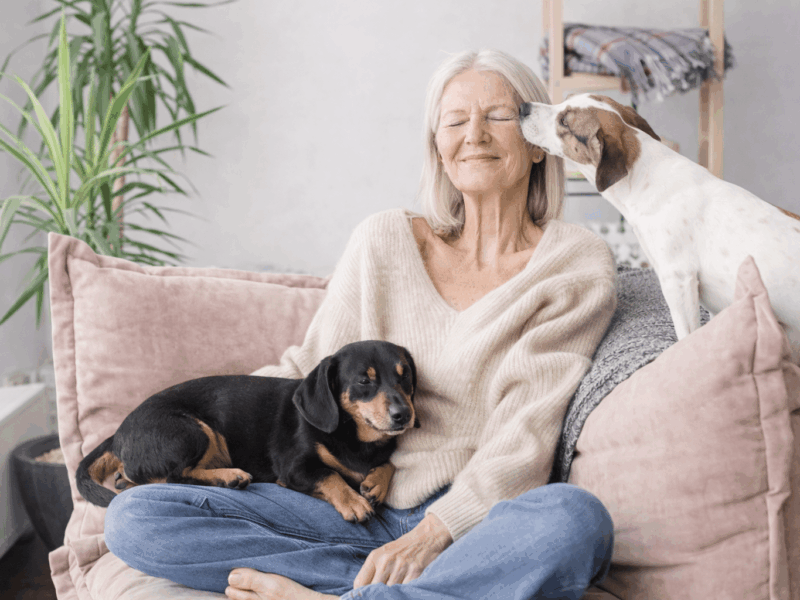 Meet the Top Dogs for Empty Nesters