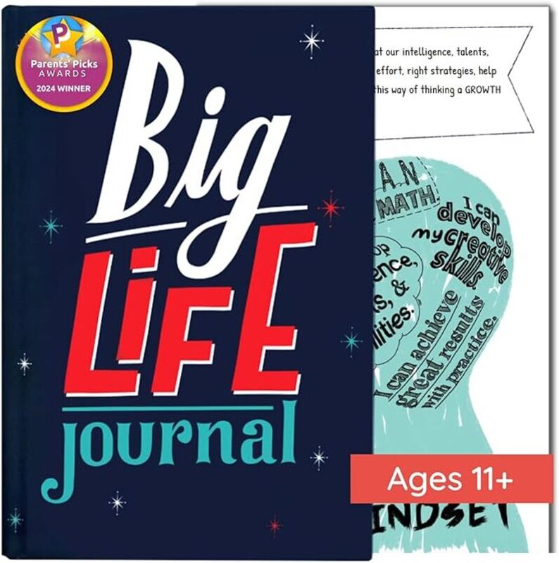 Big life journal