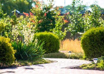 A sunlit garden with a curved brick pathway, neatly trimmed bushes, and flowering plants features low-maintenance landscaping and small solar-powered lights, all surrounded by lush green trees and shrubs.