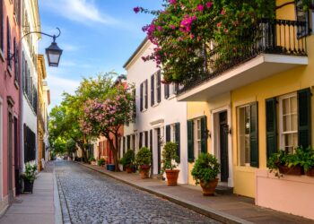 Visiting Charleston, you'll find cobblestone streets lined with colorful historic houses, potted plants, and blooming pink flowers. Bright sunlight and a blue sky create a cheerful, inviting atmosphere perfect for your next adventure.