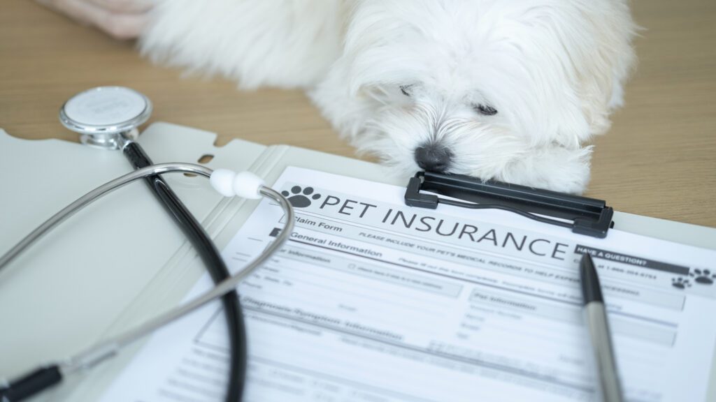 A white dog rests its head on a clipboard holding a pet insurance claim form, with a stethoscope and medical folder nearby on a wooden table.
