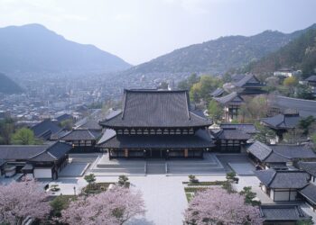 Traditional Japanese temple complex surrounded by blooming cherry blossom trees, with mountains and a cityscape visible in the background under a clear sky.