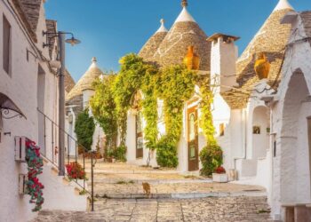 A charming cobblestone street lined with whitewashed trulli houses with conical roofs, adorned with flowers and climbing greenery, under a clear blue sky. A cat walks in the center of the sunlit lane.