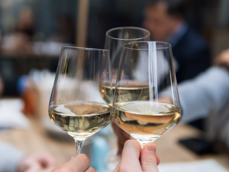 The Rise of Lower-Alcohol Wines: Big Flavor, Less Buzz