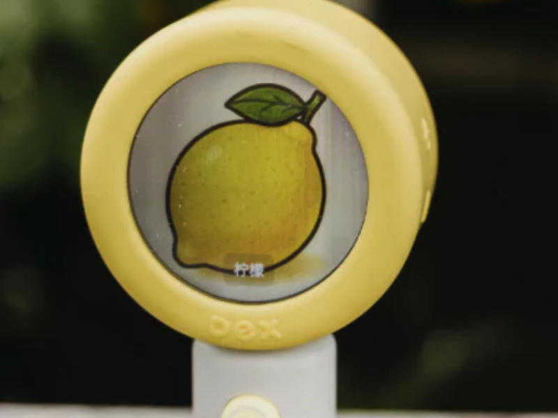 Dex Language Discovery Camera