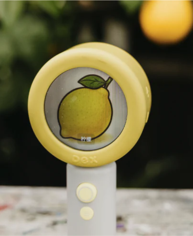 Child exploring vocabulary with The Dex Language Discovery Camera
